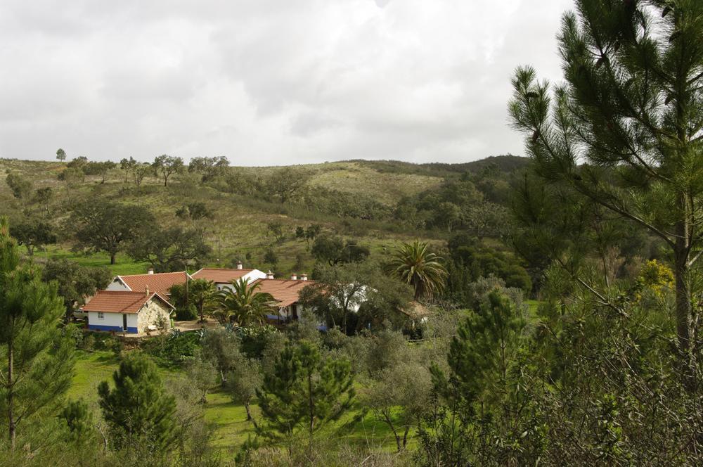 Monte Da Gravita Ribeira do Salto Værelse billede