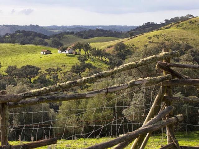 Monte Da Gravita Ribeira do Salto Eksteriør billede